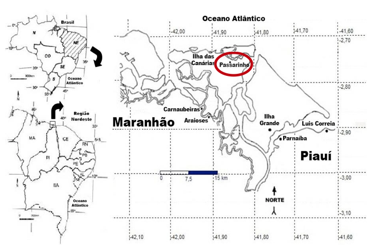 mapa figura 1